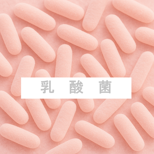 乳酸菌（免疫サポート）